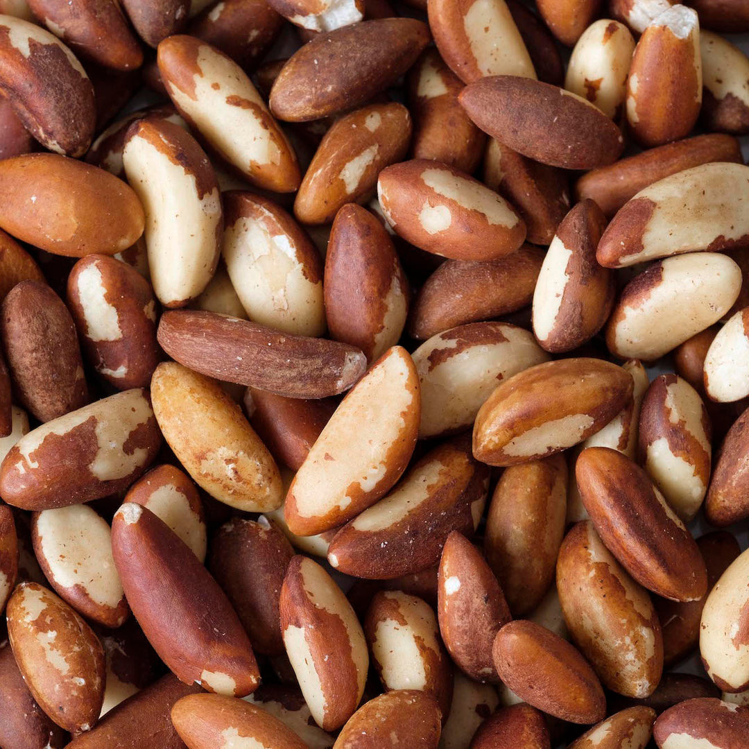 Organic Brazil Nuts — 1 × 10kg