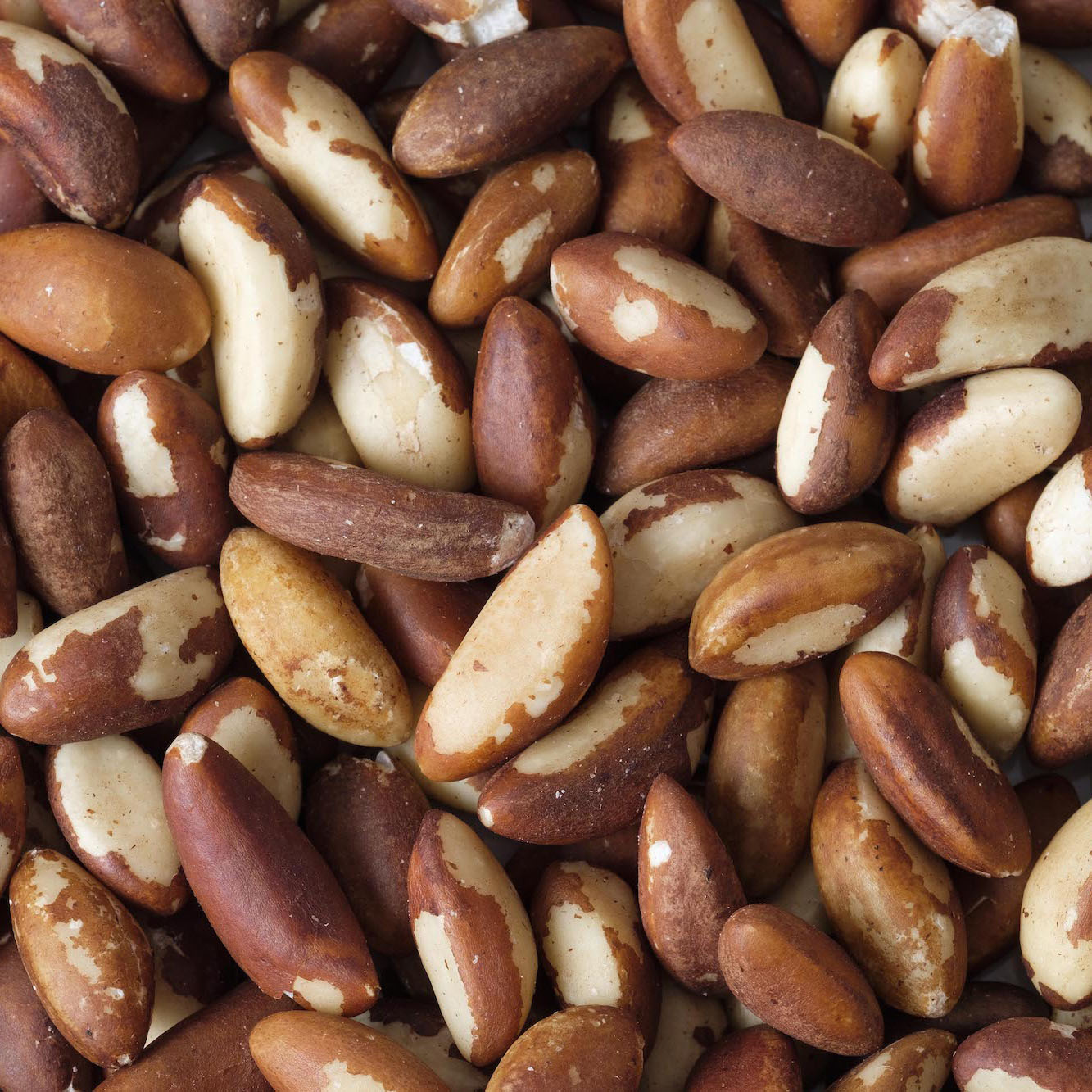 Organic Brazil Nuts — 1 × 10kg