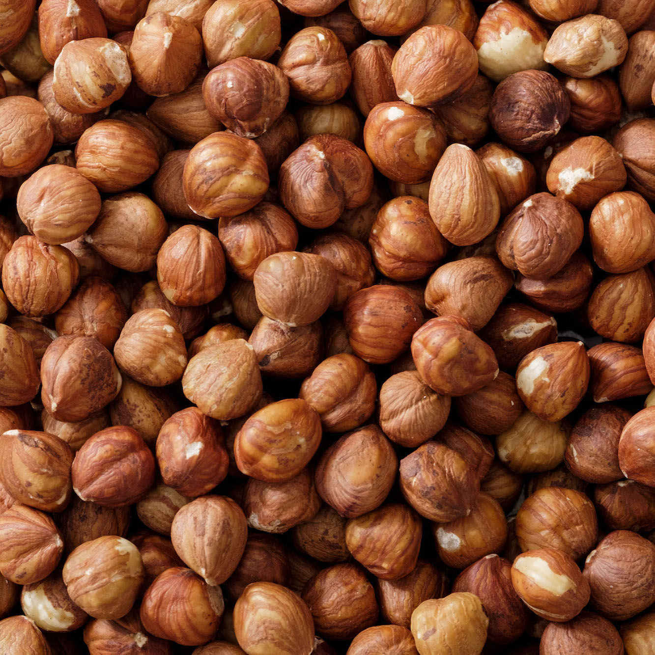 Organic Hazelnuts — 2 × 5kg